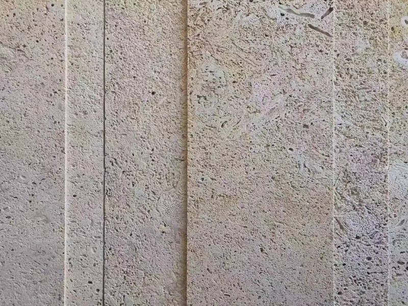 Coral Stone Wall 2 Coral Stone Wall 2